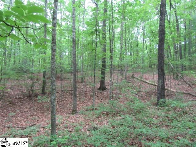Mountain Ridge Estates Road, Cleveland, SC 29635