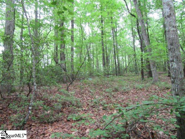 Mountain Ridge Estates Road, Cleveland, SC 29635