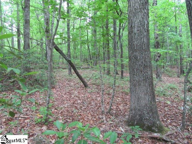 Mountain Ridge Estates Road, Cleveland, SC 29635