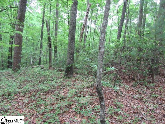 Mountain Ridge Estates Road, Cleveland, SC 29635