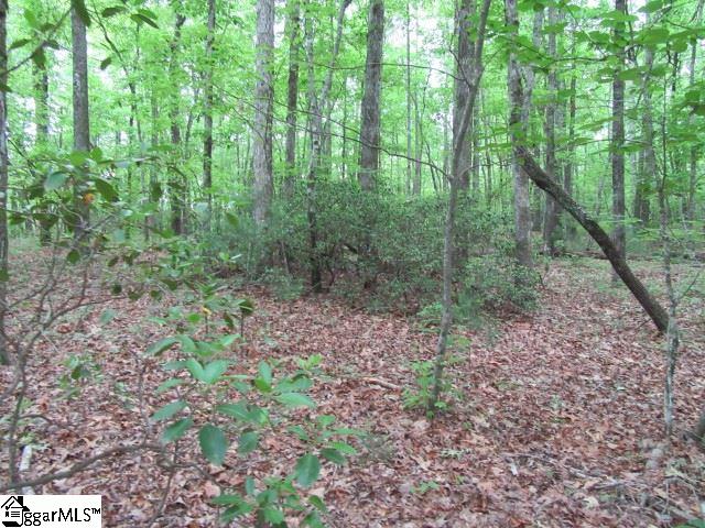 Mountain Ridge Estates Road, Cleveland, SC 29635