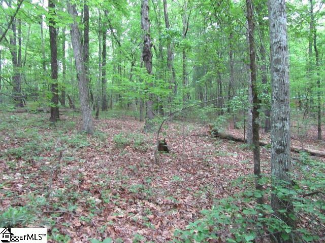 Mountain Ridge Estates Road, Cleveland, SC 29635