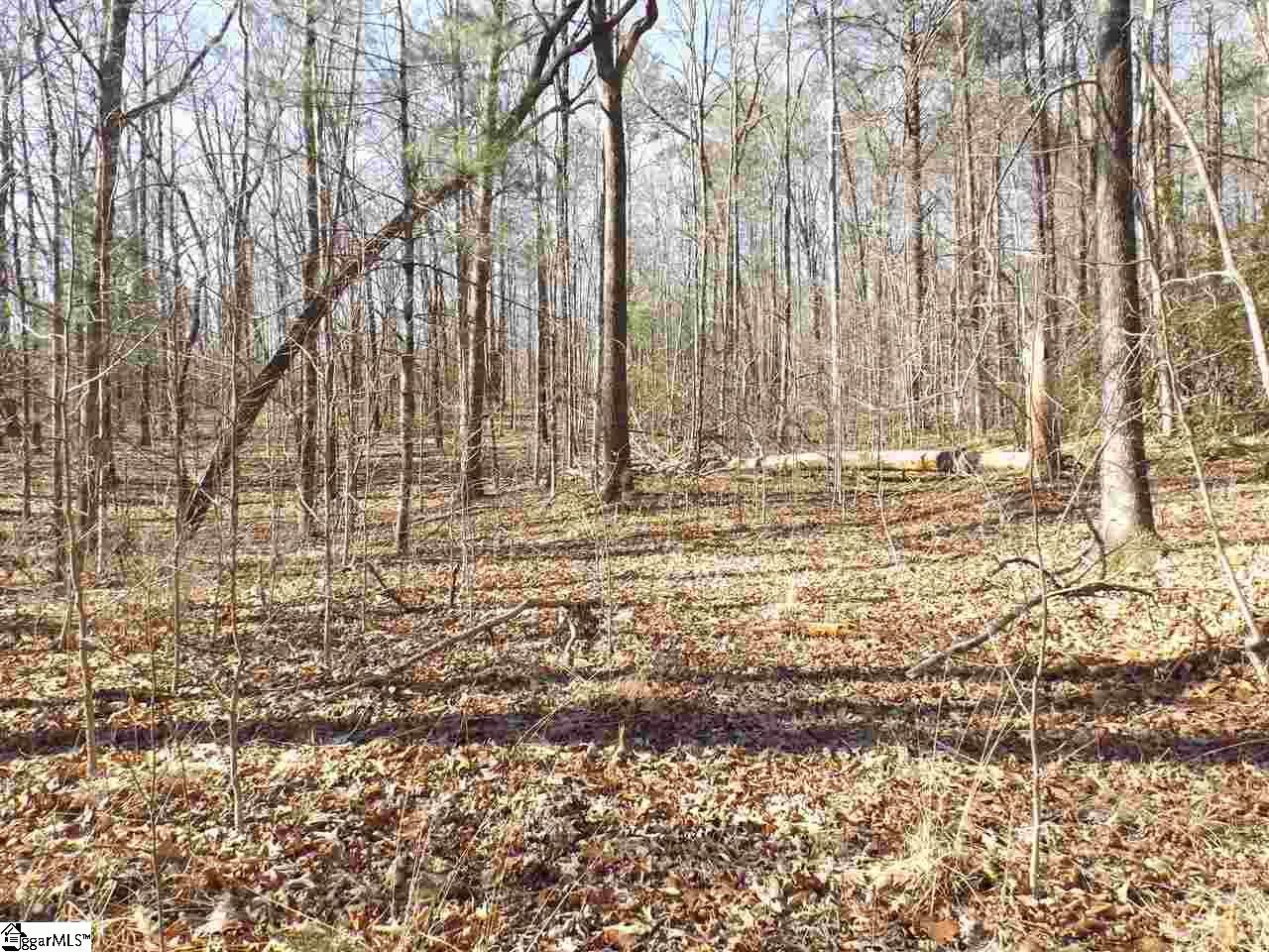 Tract 6 and 7 Mountain Ridge Estates Road, Cleveland, SC 29635