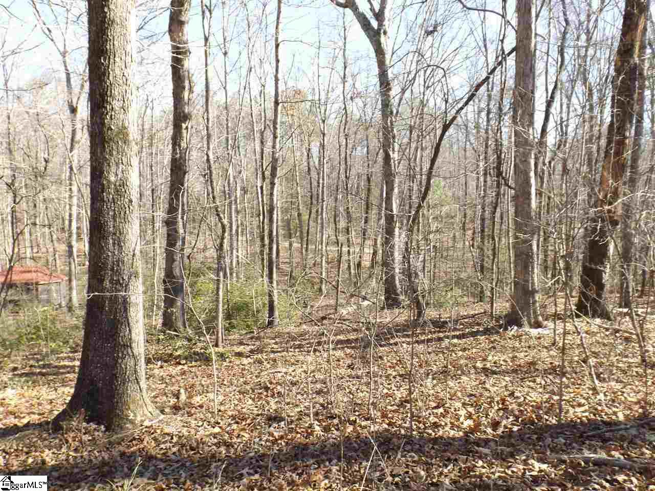 Tract 6 and 7 Mountain Ridge Estates Road, Cleveland, SC 29635