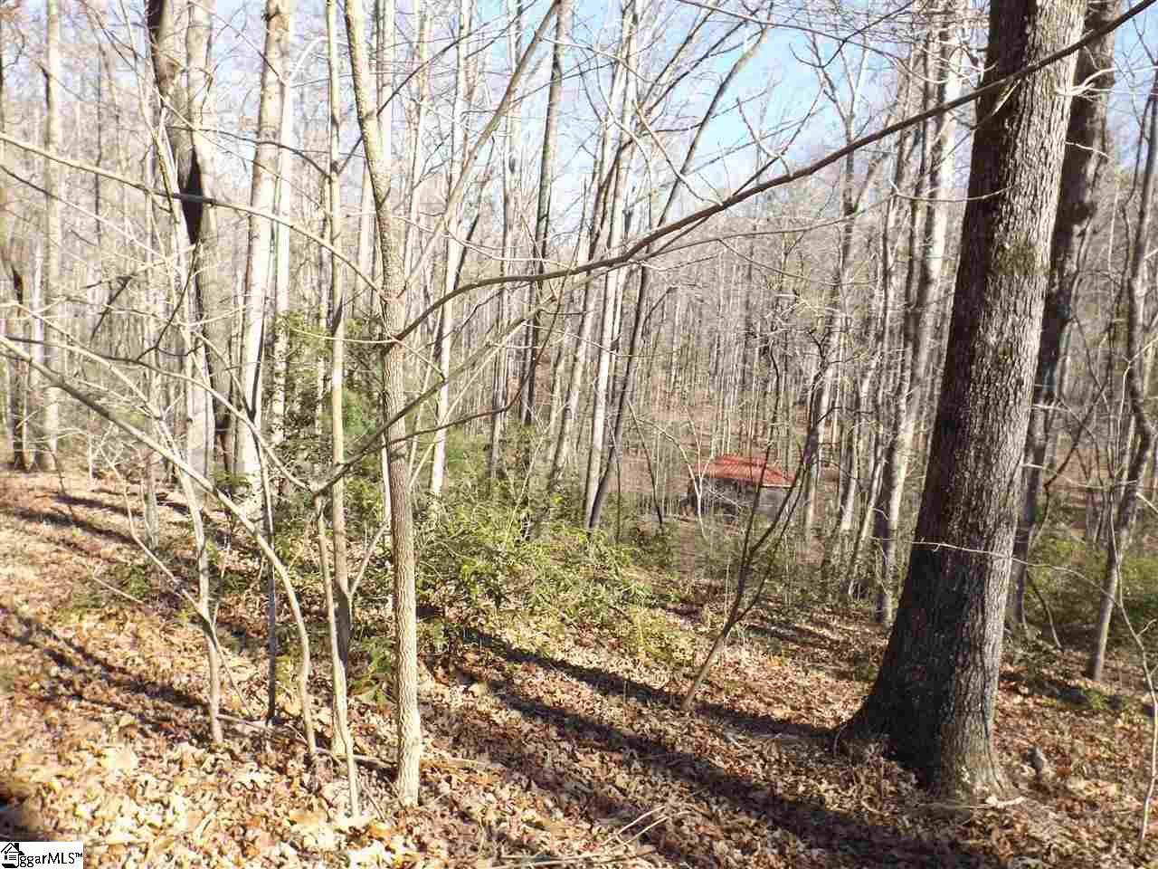 Tract 6 and 7 Mountain Ridge Estates Road, Cleveland, SC 29635