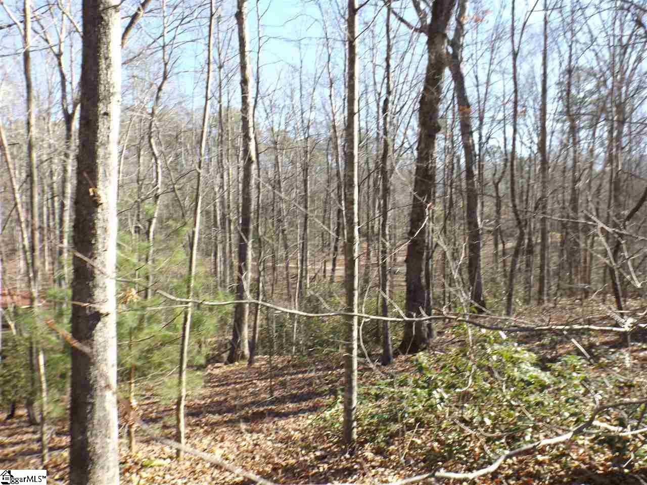Tract 6 and 7 Mountain Ridge Estates Road, Cleveland, SC 29635