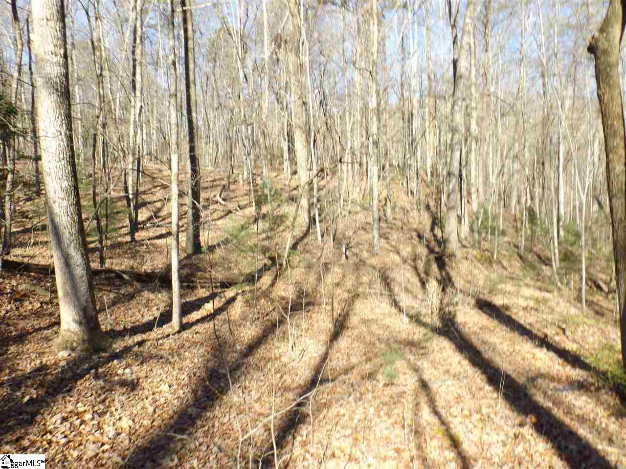 Tract 6 and 7 Mountain Ridge Estates Road, Cleveland, SC 29635