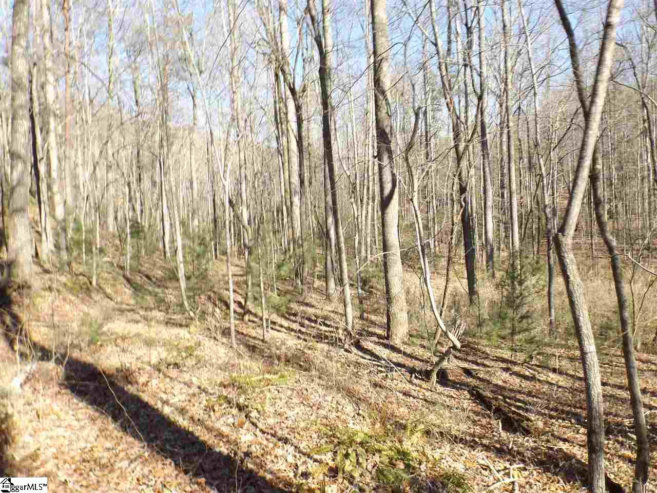Tract 6 and 7 Mountain Ridge Estates Road, Cleveland, SC 29635