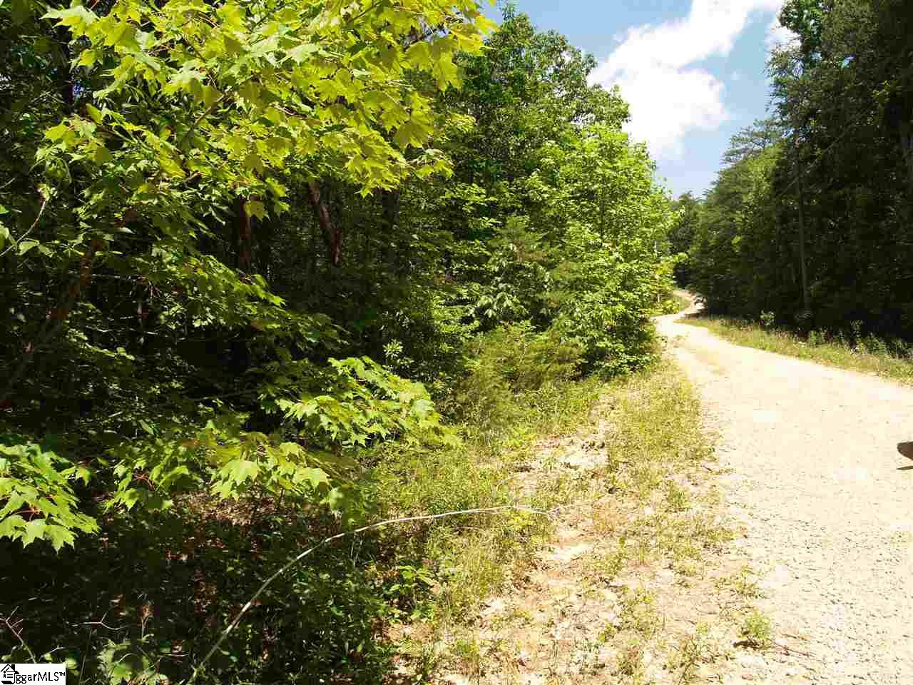 00 Curts Way, Cleveland, SC 29635