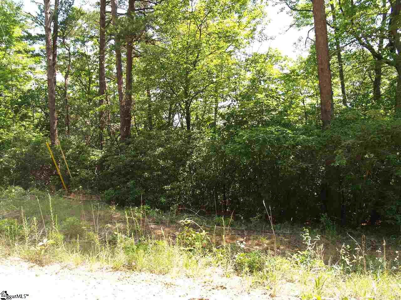 00 Curts Way, Cleveland, SC 29635
