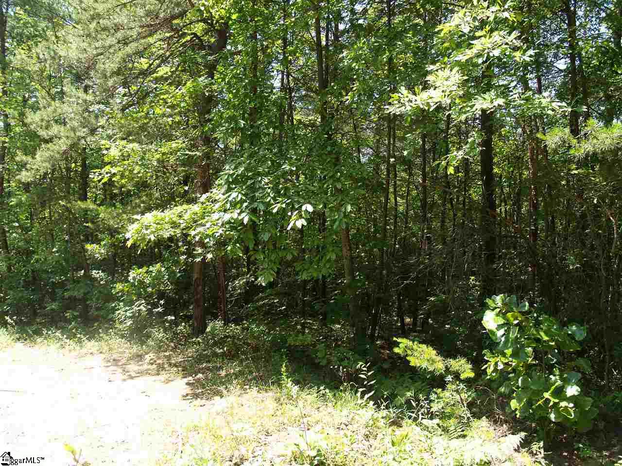 00 Curts Way, Cleveland, SC 29635