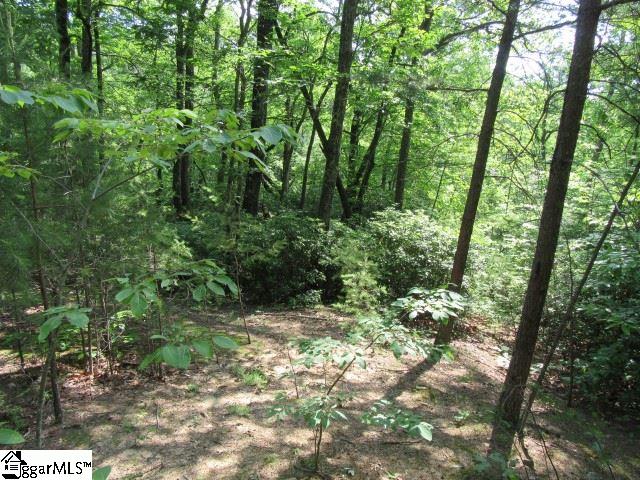 Woods Pond Court, Cleveland, SC 29635