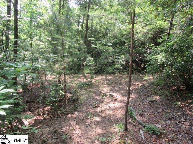 Woods Pond Court, Cleveland, SC 29635