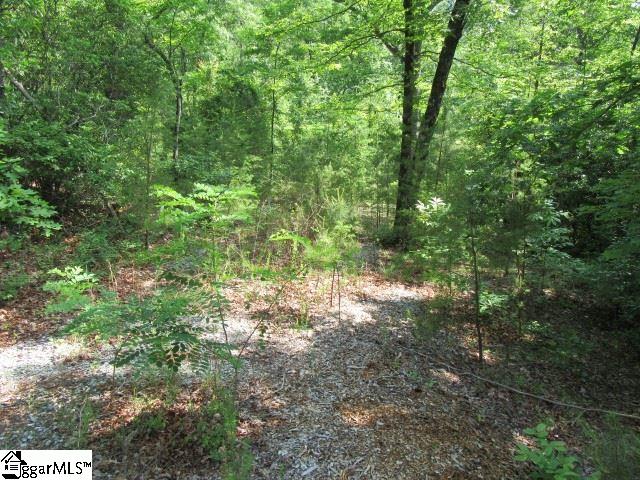 Woods Pond Court, Cleveland, SC 29635