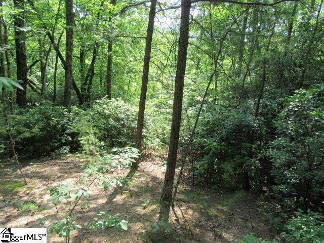 Woods Pond Court, Cleveland, SC 29635