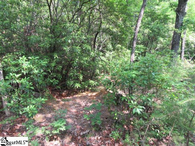 Woods Pond Court, Cleveland, SC 29635