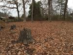 213 PINE ALY ,SC, Easley, 29640