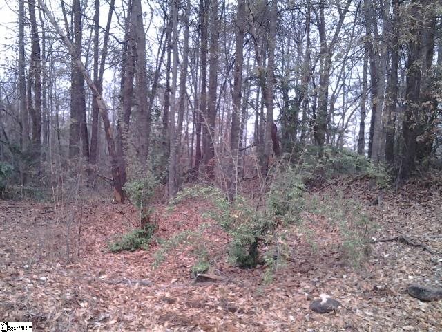 Tree Top Lane, Easley, SC 29642