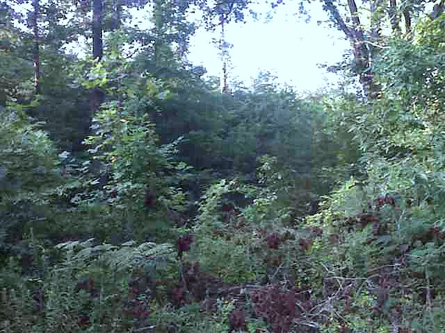 Lot 20South Shore Drive, Fair Play, SC 29643