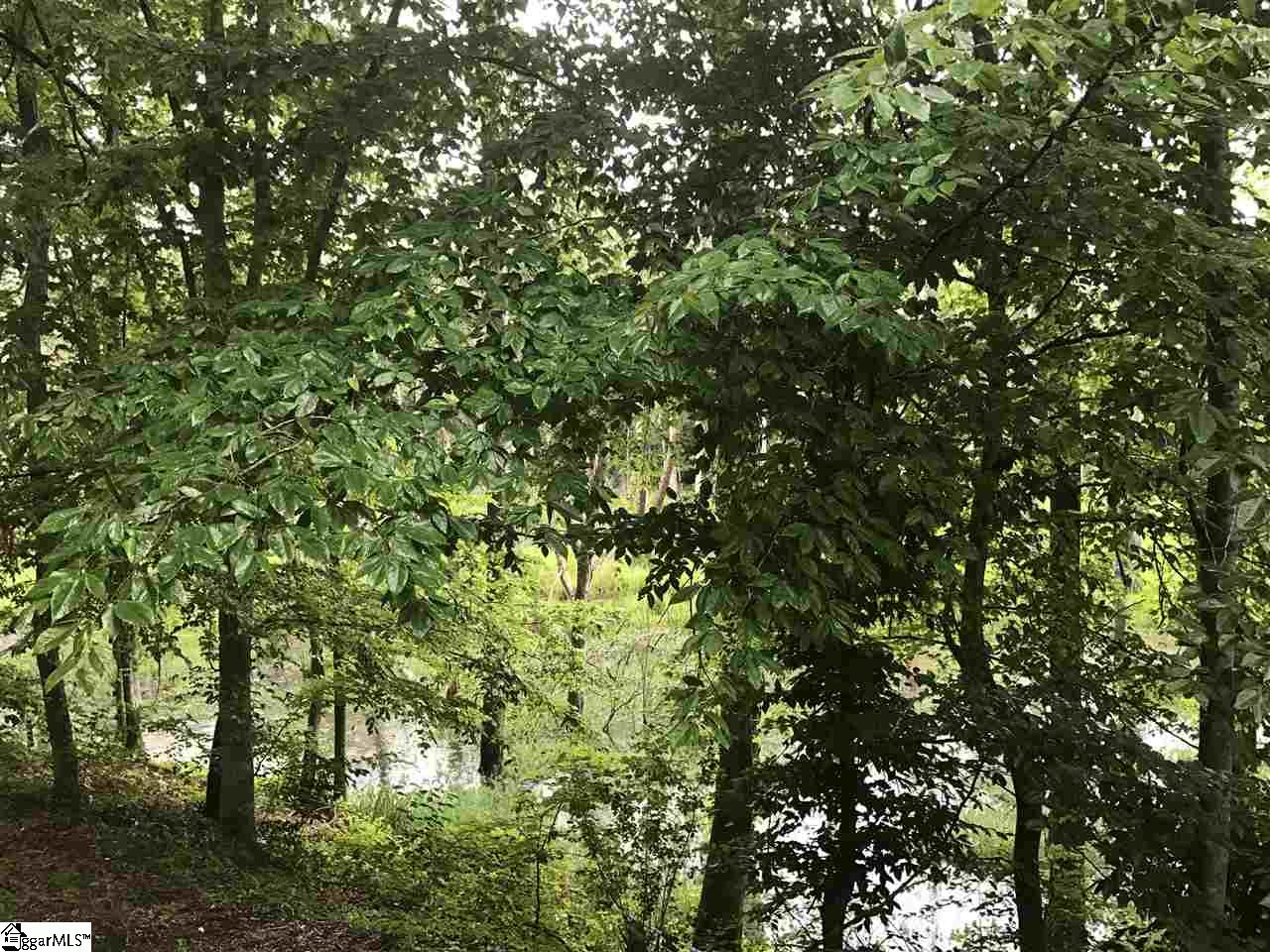368 Tall Pines Road, Fountain Inn, SC 29644