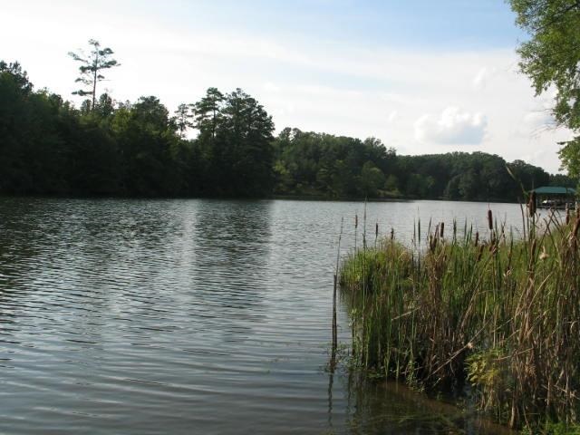244Gardenia Dr, Ninety Six, SC 29646