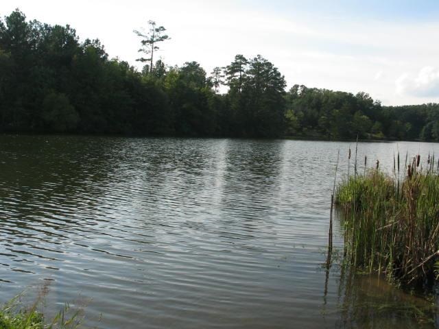 244Gardenia Dr, Ninety Six, SC 29646