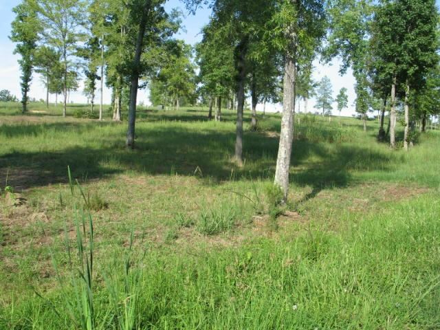 244Gardenia Dr, Ninety Six, SC 29646