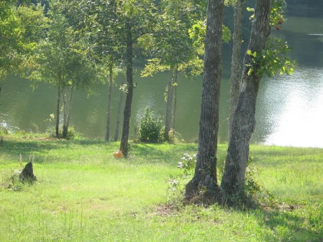 238Gardenia Dr, Ninety Six, SC 29646