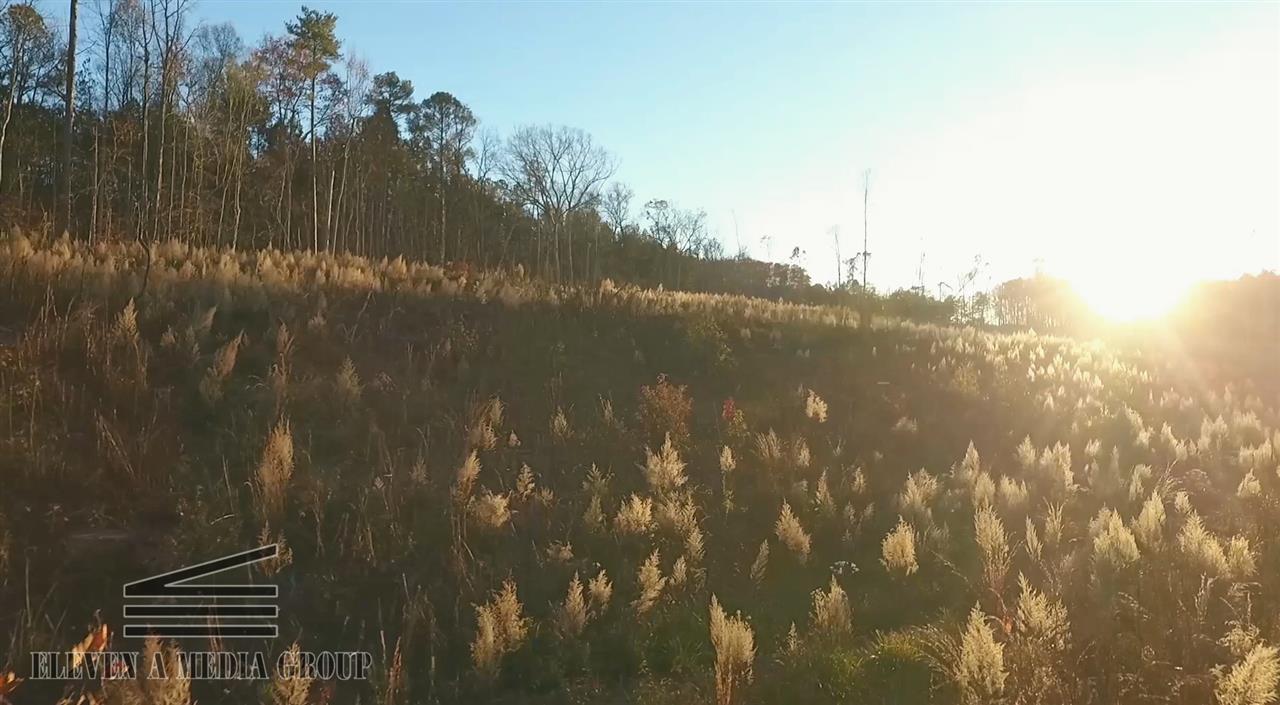 TBDBeaverdam Creek Rd, Greenwood, SC 29646