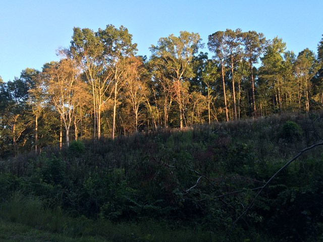 000 Beaverdam Creek Rd, Greenwood, SC 29646