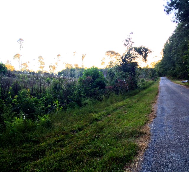 000 Beaverdam Creek Rd, Greenwood, SC 29646