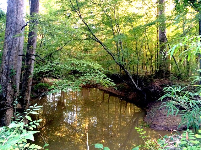000 Beaverdam Creek Rd, Greenwood, SC 29646