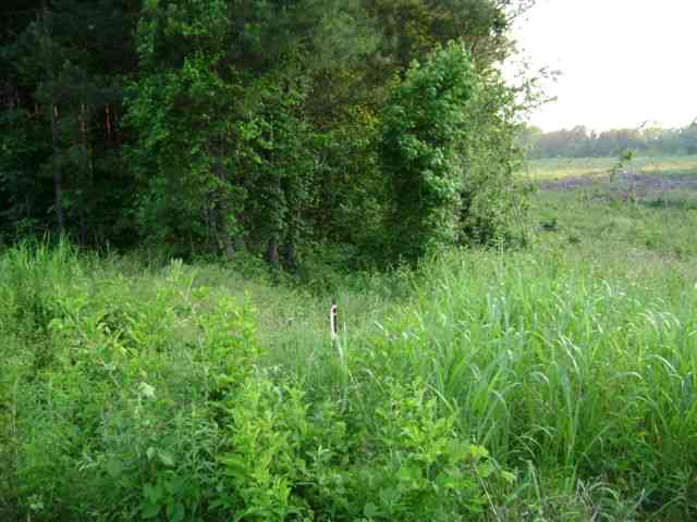 0 Callison Hwy 67 near Firestation IV, Callison, SC 29646
