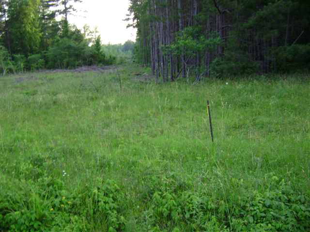 0 Callison Hwy 67 near Firestation IV, Callison, SC 29646