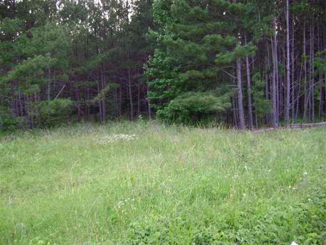 0 Callison Hwy 67 near Firestation IV, Callison, SC 29646