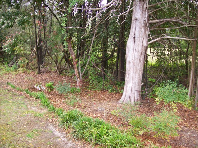 1291 Calhoun Road, Greenwood, SC 29649