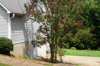 613 Locksley DrGreenwood, SC, 29649Greenwood County