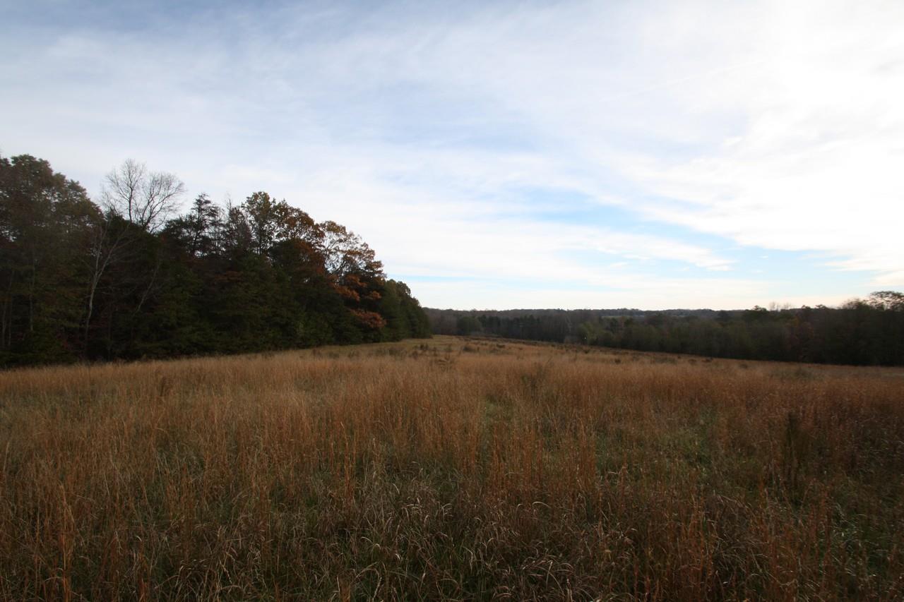 0 Jug Factory Road, Greer, SC 29651