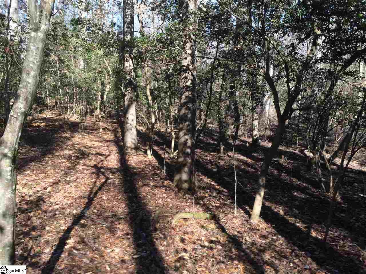 00 Lantern Lane, Greer, SC 29651