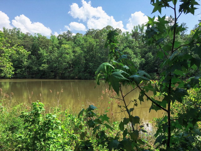 404 Eagles Harbor Dr, Hodges, SC 29653