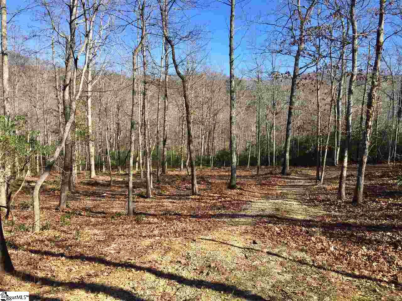 138 Duck Hawk Way, Marietta, SC 29661
