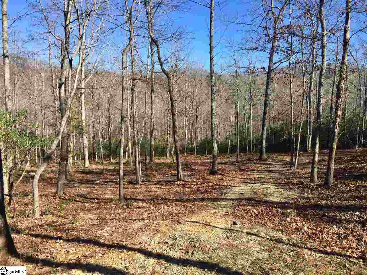 138 Duck Hawk Way, Marietta, SC 29661