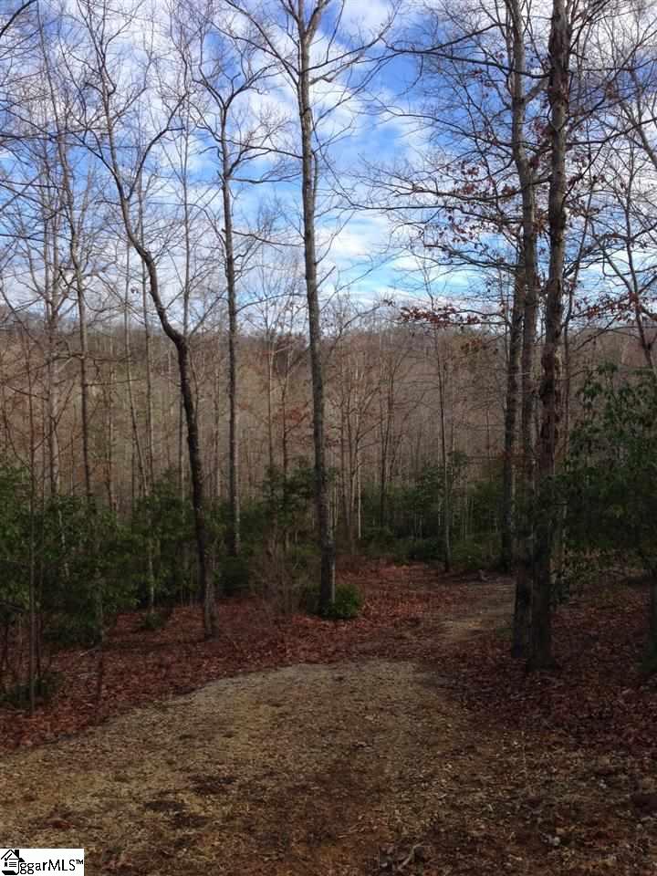 138 Duck Hawk Way, Marietta, SC 29661