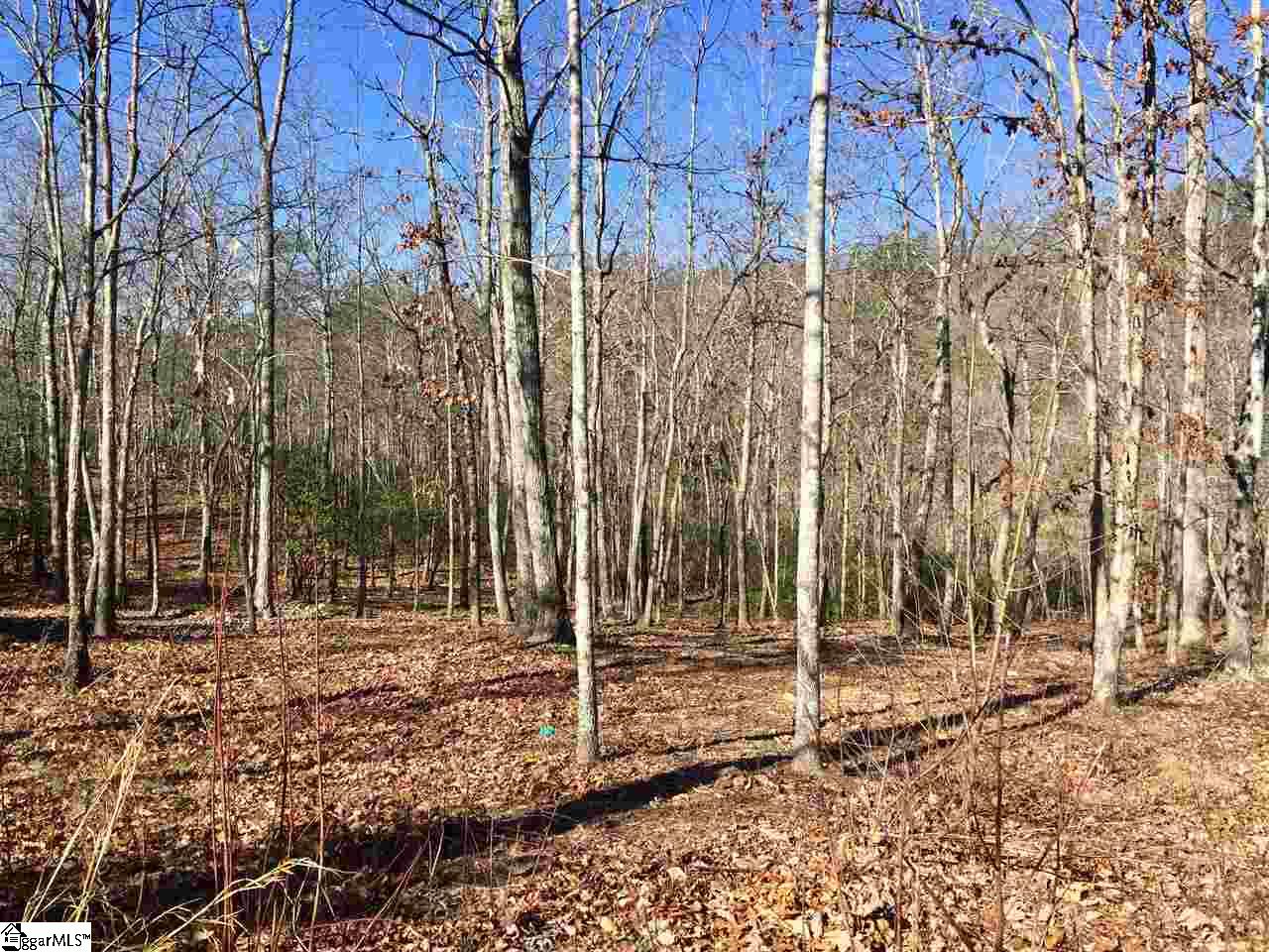 141 Duck Hawk Way, Marietta, SC 29661