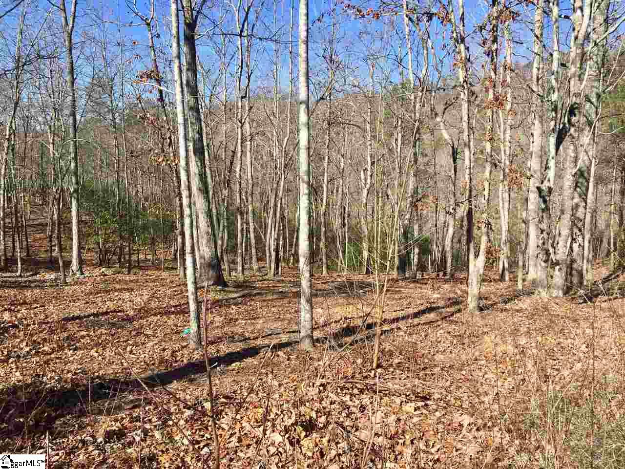 141 Duck Hawk Way, Marietta, SC 29661