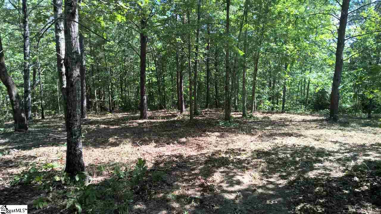 10 Darting Sparrow Way, Marietta, SC 29661