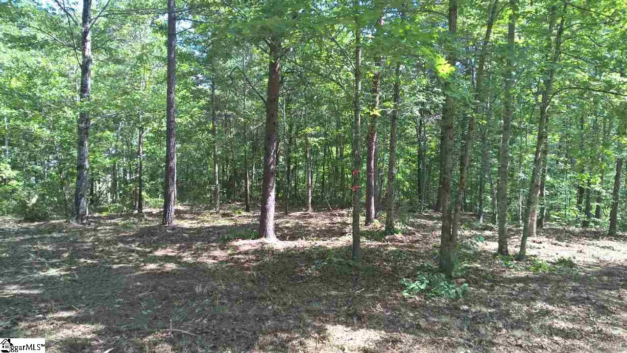 10 Darting Sparrow Way, Marietta, SC 29661