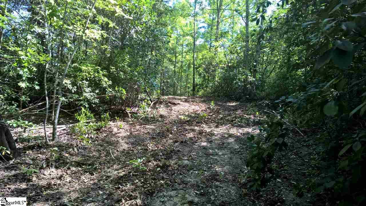 10 Darting Sparrow Way, Marietta, SC 29661