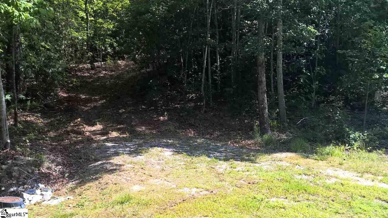 10 Darting Sparrow Way, Marietta, SC 29661
