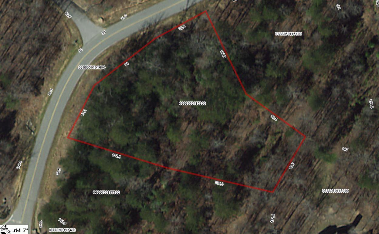 10 Darting Sparrow Way, Marietta, SC 29661